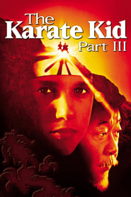 Karate Kid 3 online náhled