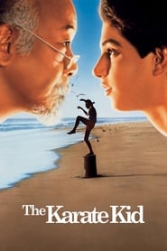 Karate Kid online náhled
