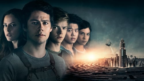 Labyrint: Vražedná léčba download