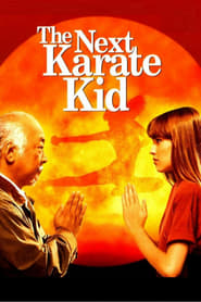 Nový Karate Kid online náhled