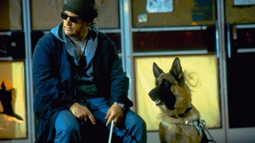 K-9: Soukromý detektiv download